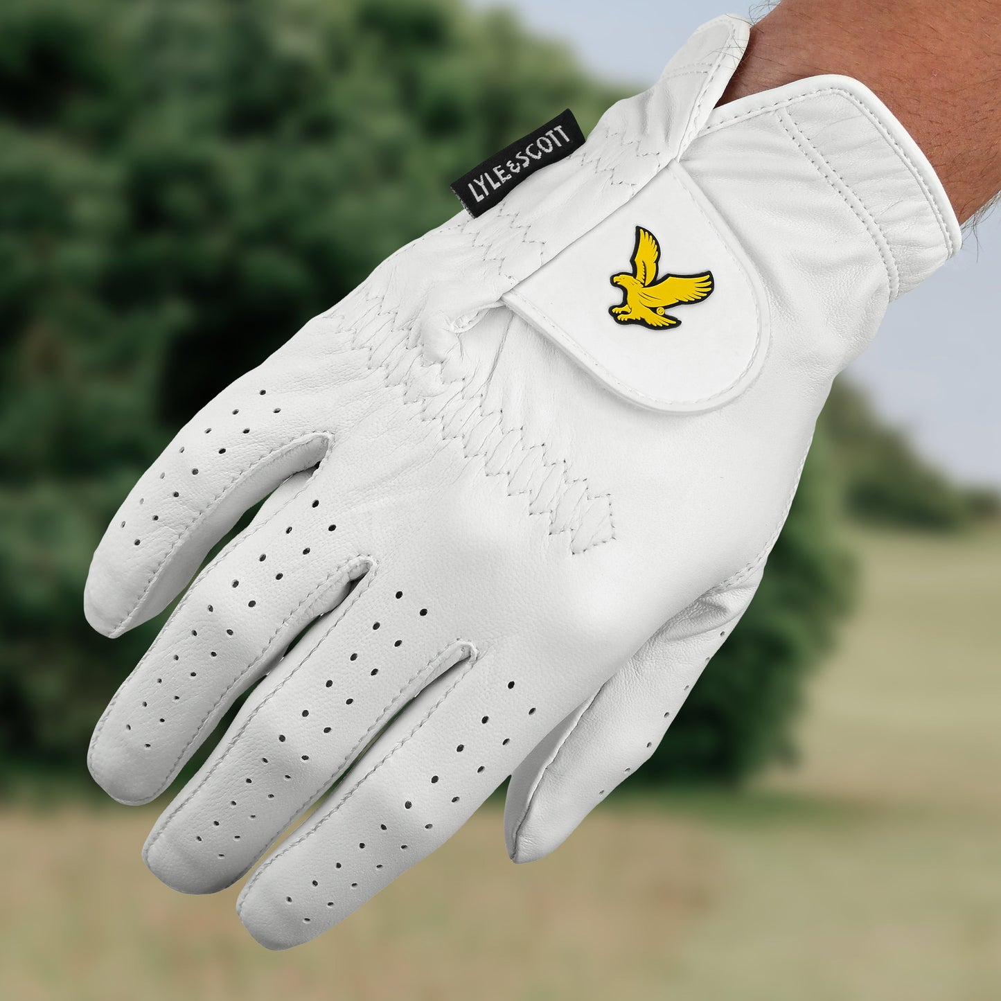 Lyle & Scott Tour Pro Premium Ultra Soft Leather Golf Glove