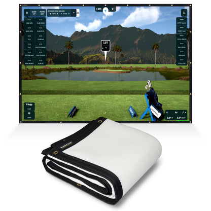 SimSpace Platinum Impact Screen